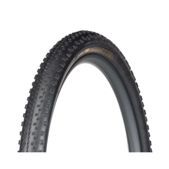 Bontrager Vallnord RSL XR TLR MTB Tire - 29X2.4