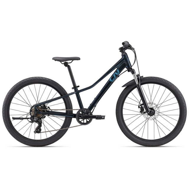 Giant Tempt 24 Disc