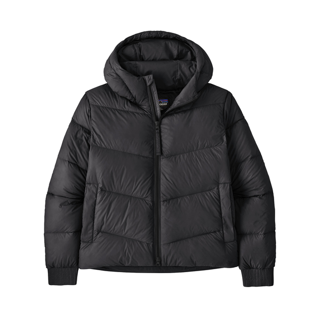 Patagonia W Sindit Hoody Jacket