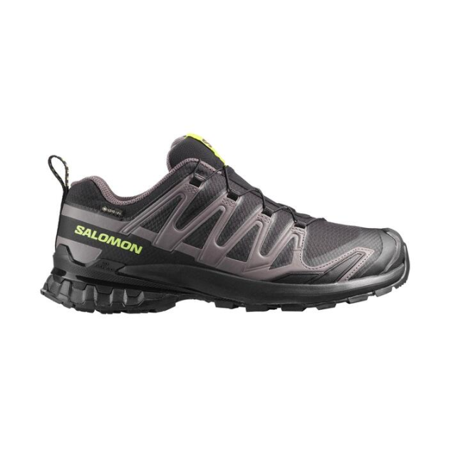 Salomon XA Pro 3D V9 GTX