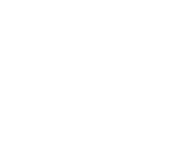 patagonia